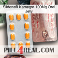 Sildenafil Kamagra 100Mg Oral Jelly new13